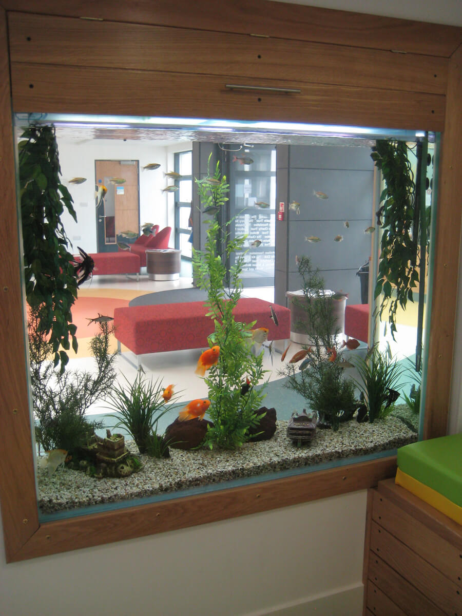 Bespoke aquarium/fish tank design and maintenence in Guildford