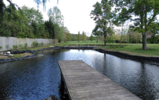 Case Studies Swimming Pond (4)