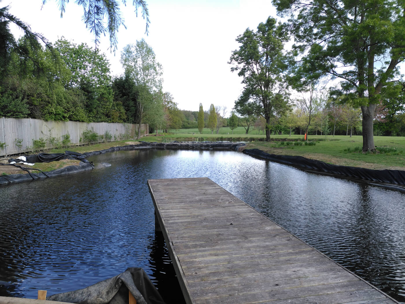 Swimming Pond Construction