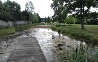 Case Studies Swimming Pond (5)