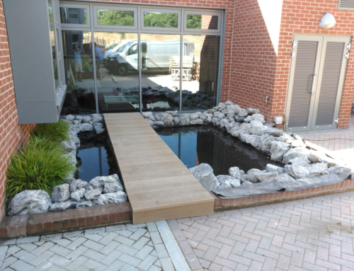 Garden Pond Renovation, Guildford