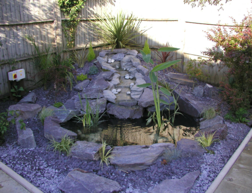 Garden Water Feature into Pond