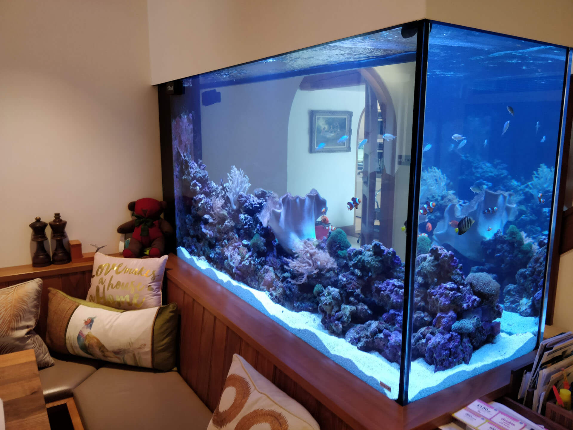 Bespoke aquarium/fish tank design and maintenence in Claygate