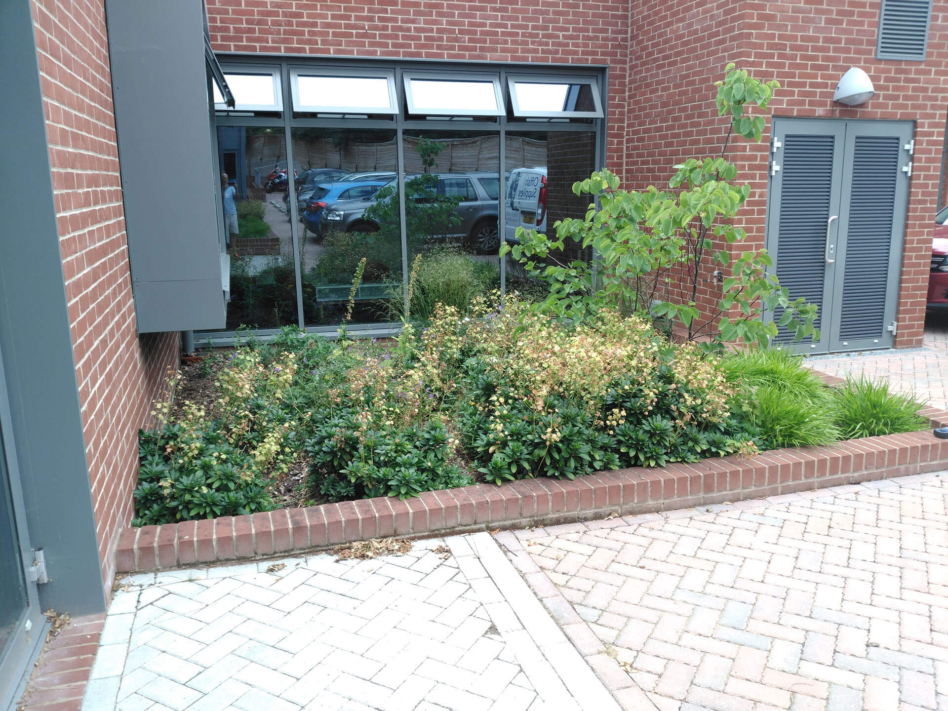 Offish Pond Experts (23)